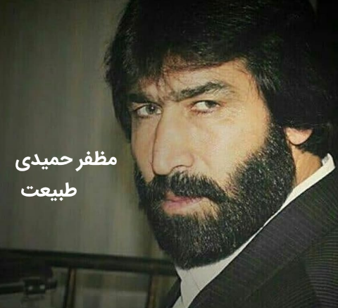 مظفر حمیدی طبیعت